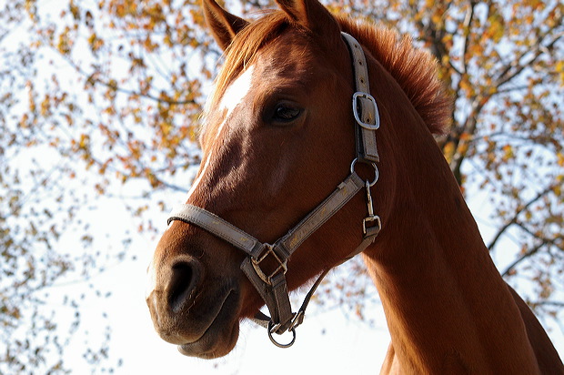 imgp1622.jpg