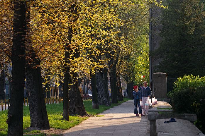 imgp1624.jpg