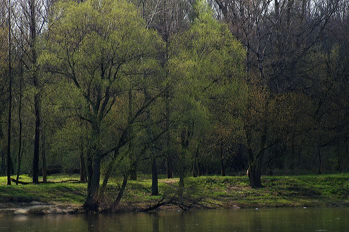 imgp1100a.jpg