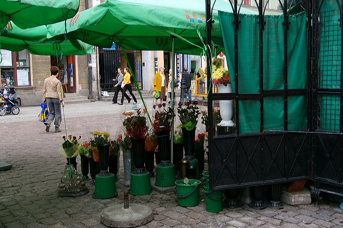 imgp1246.jpg