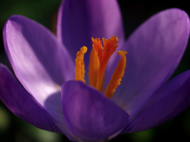 p2100113cc2.jpg