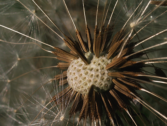 p4160179cc.jpg