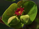 p4100120cn