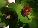 p4150179ac