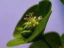 p4220405ccn