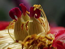 p5060847a