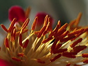 p5060921an2