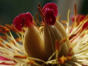 p5060928cn