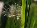 p6050885cc