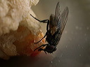 p8301716cc