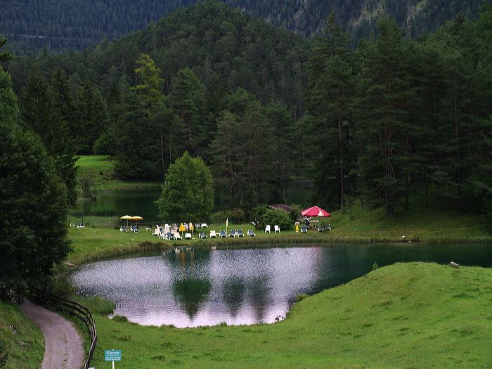 p8170175.jpg