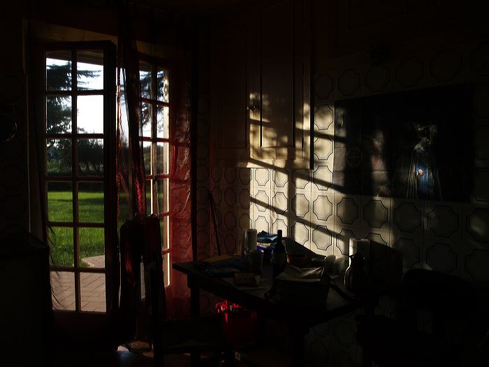 p8190474.jpg