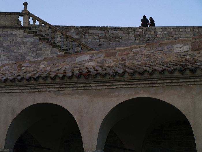p8250575.jpg