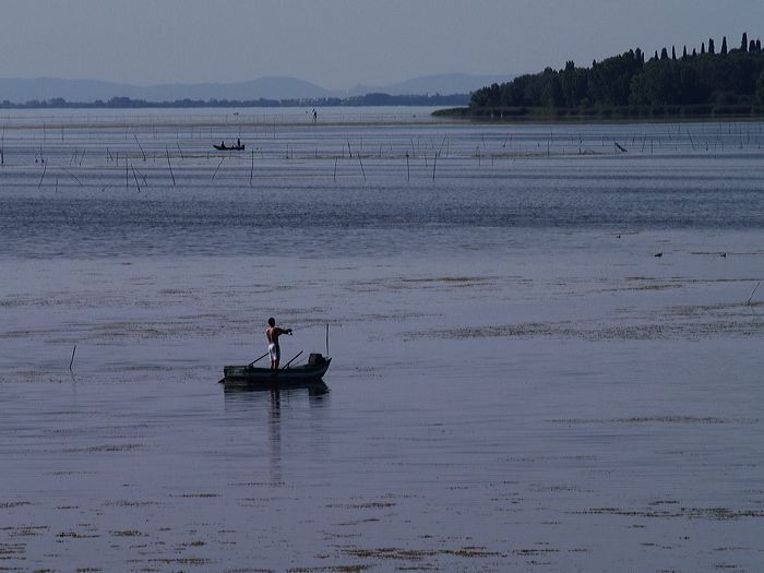 p8260691.jpg