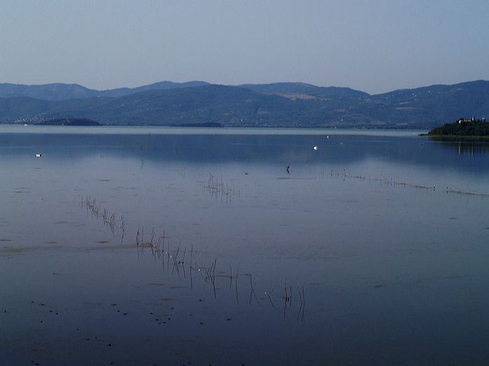 p8260725.jpg