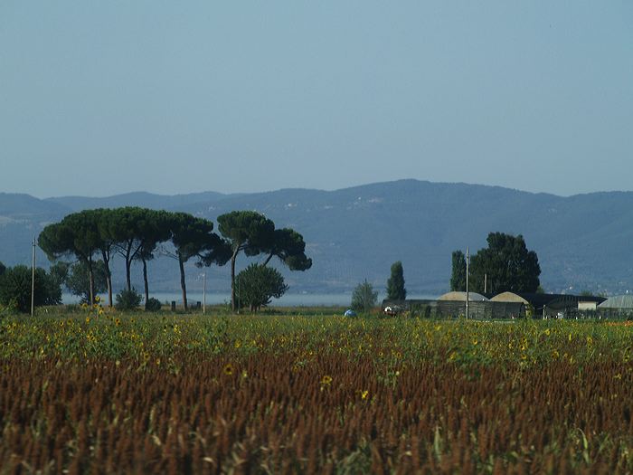 p8260737.jpg