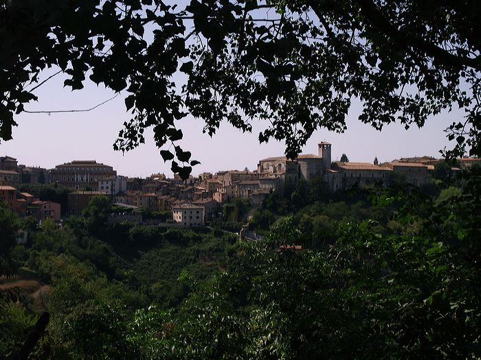 p8270867.jpg