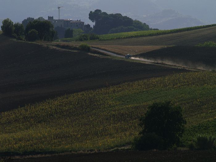 p8270933.jpg