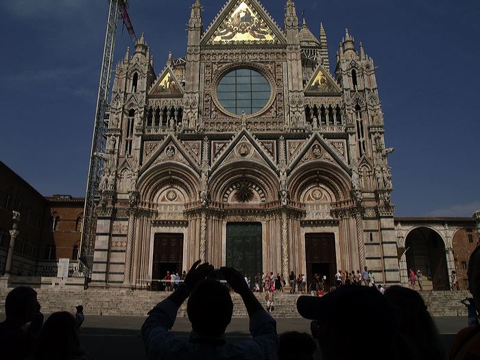 p8291190.jpg