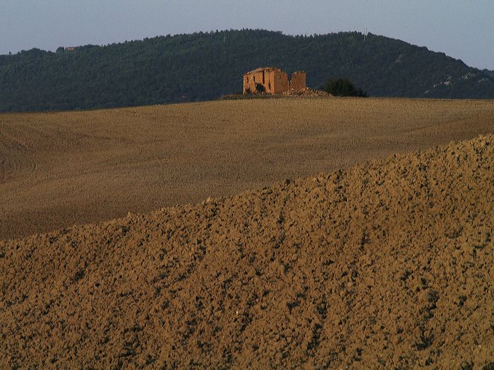 p8291444.jpg