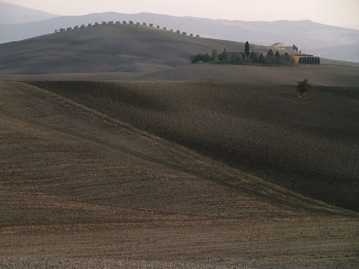 p8291455.jpg