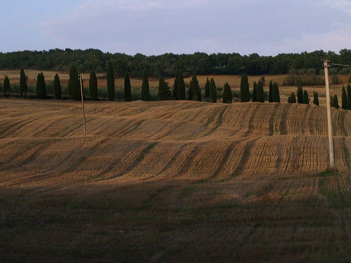 p8291478.jpg