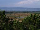 p8200520