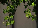 p8301619
